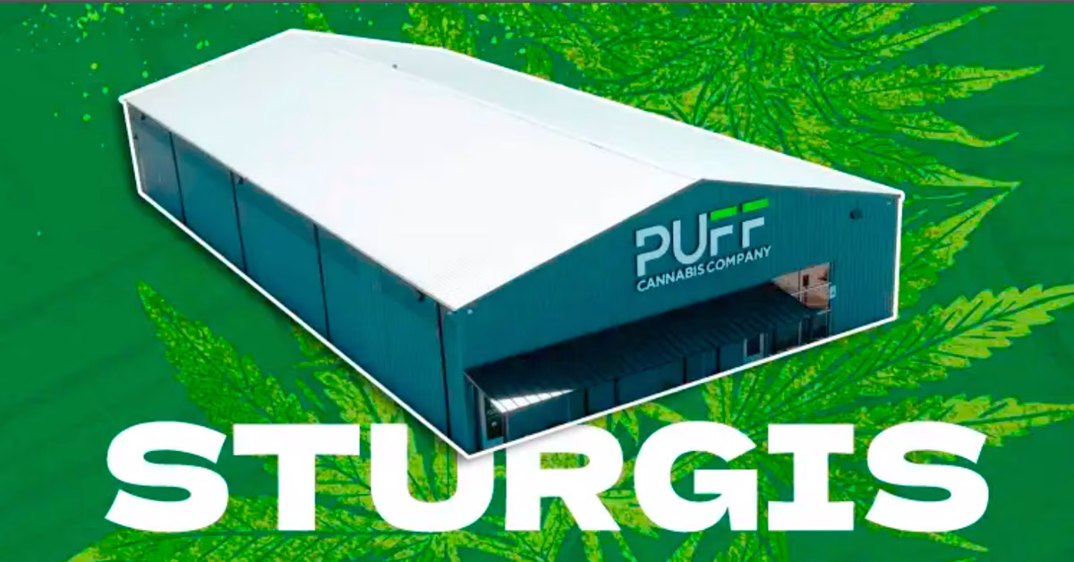Puff Canabis in Sturgis, Michigan